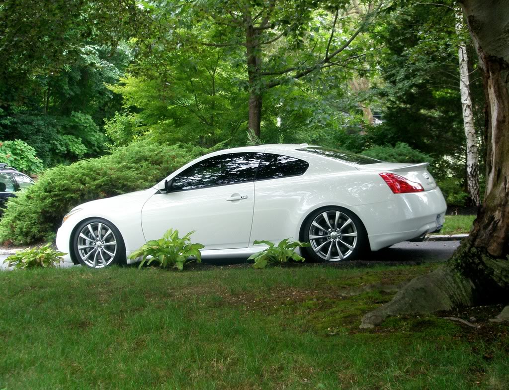 Name:  G37coiloverpics107.jpg
Views: 988
Size:  227.8 KB