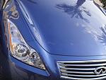 G37 headlight &amp; grille Photoshop-g37_2.jpg