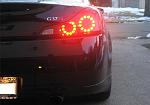 OB G37s 5 weeks old-g37s3re.jpg