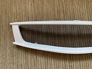 G37 Coupe Mesh Grille-img_3287.jpg