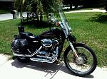 2005 harley davidson sportster xl 1200 custom w/ extra's-img_0204.jpg